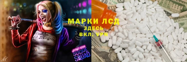 индика Покров