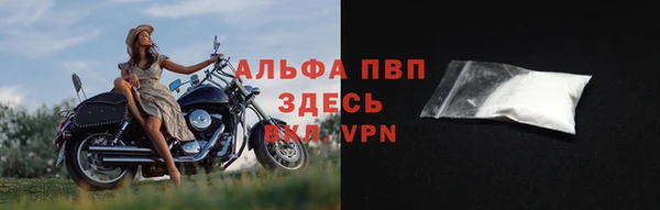 гидра Липки