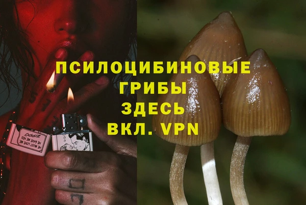 альфа пвп Лагань
