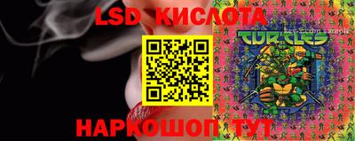 ПСИЛОЦИБИНОВЫЕ ГРИБЫ Будённовск