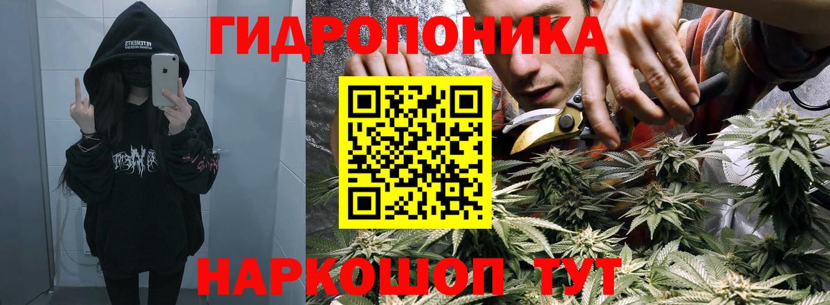 Бошки марихуана LSD WEED  Вход с VPN  Дербент  МАРИХУАНА MAZAR  Бошки Шишки LSD WEED 